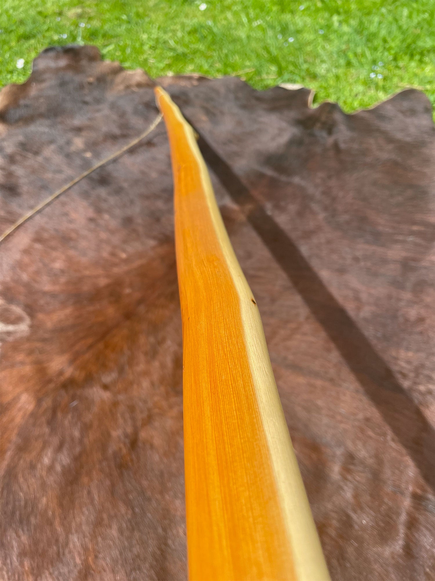 Traditioneller Eiben Langbogen (BHa)