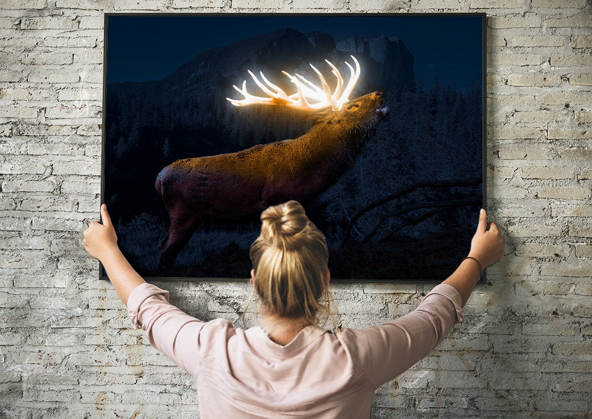 Magischer Hirsch auf dem Untersberg - Poster 90x60 cm