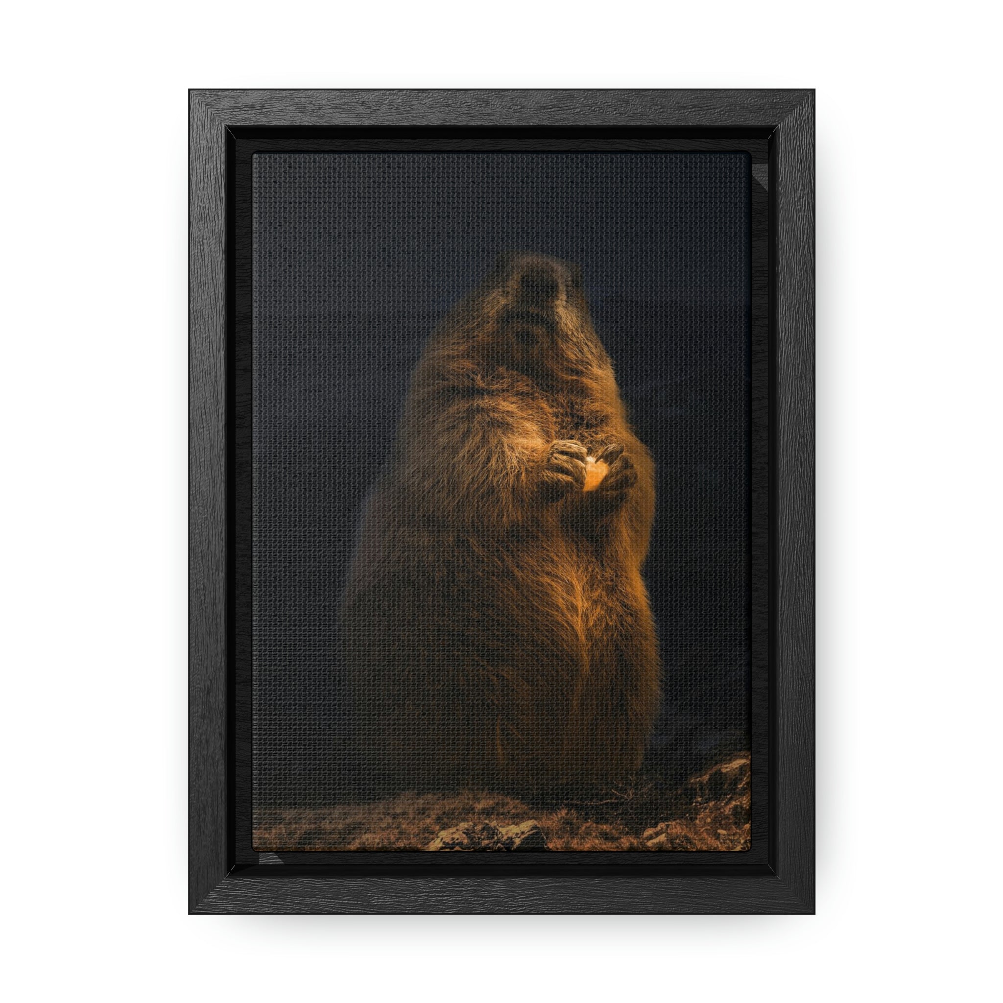 Magisches Murmeltier auf dem Untersberg