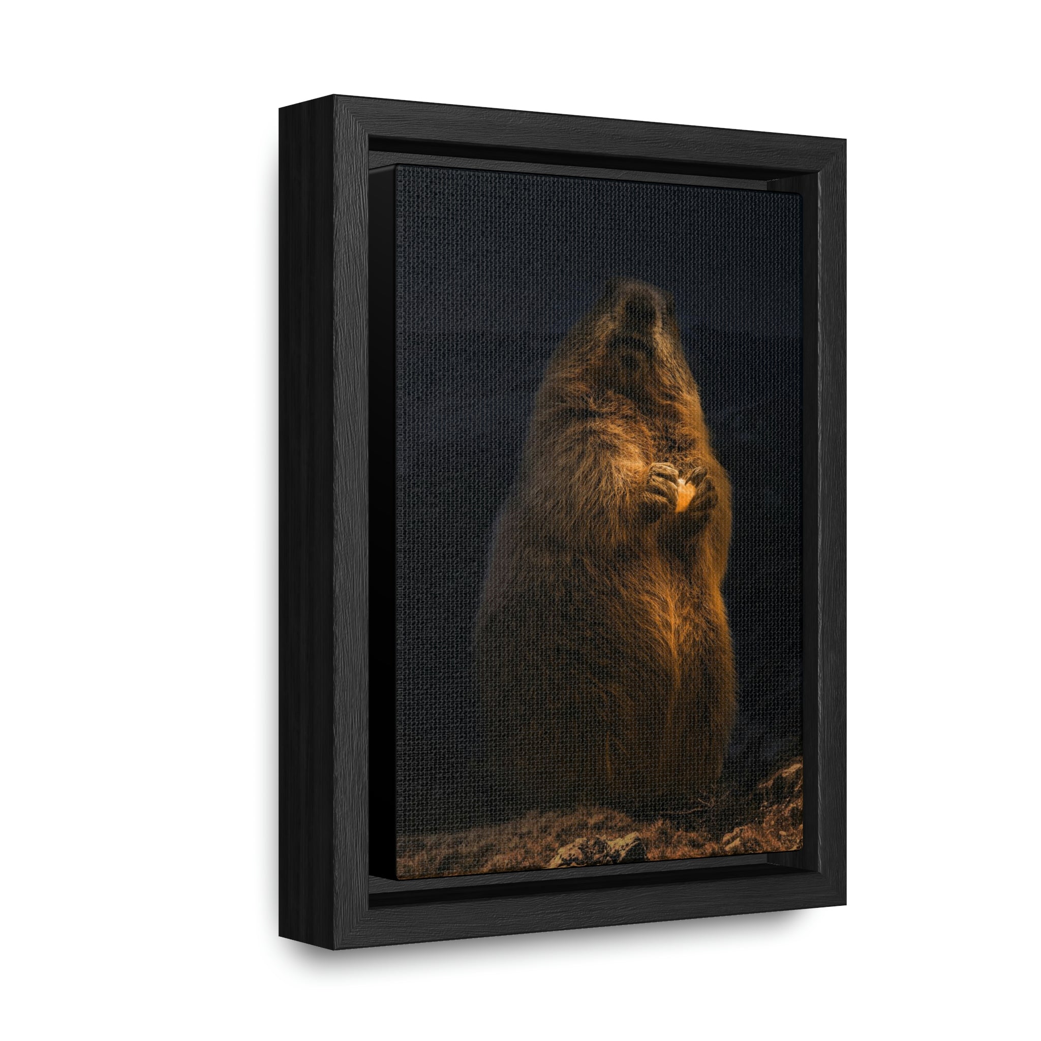 Magisches Murmeltier auf dem Untersberg