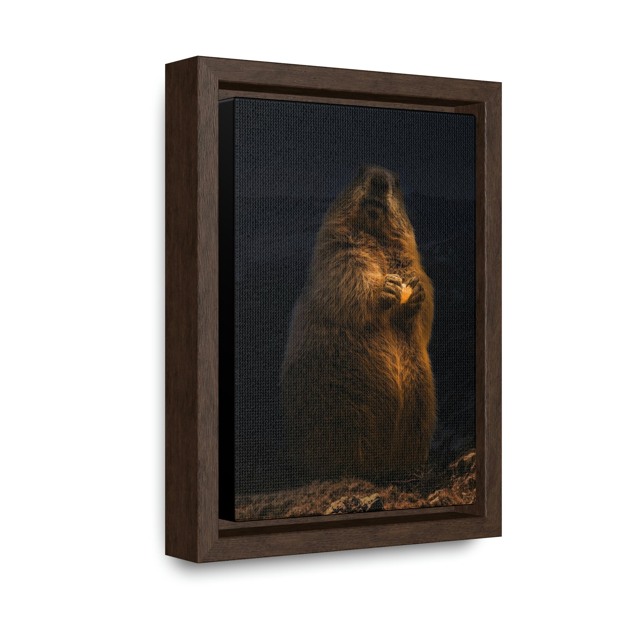 Magisches Murmeltier auf dem Untersberg